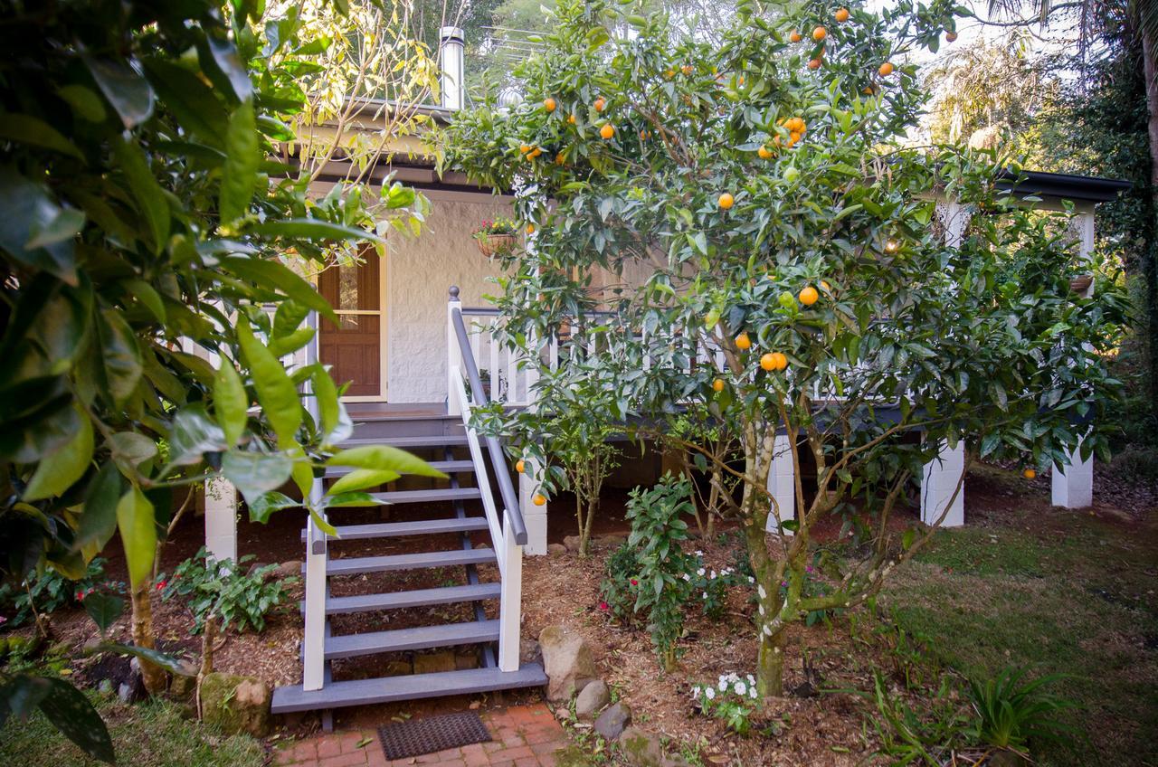 Kidd Street Cottages Mount Tamborine Bagian luar foto